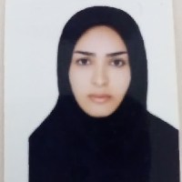 پریسا حسینی